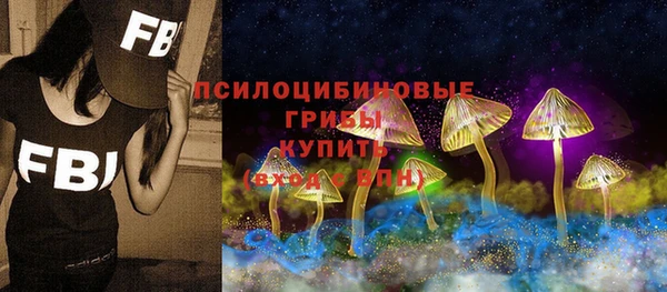 шишки Киреевск