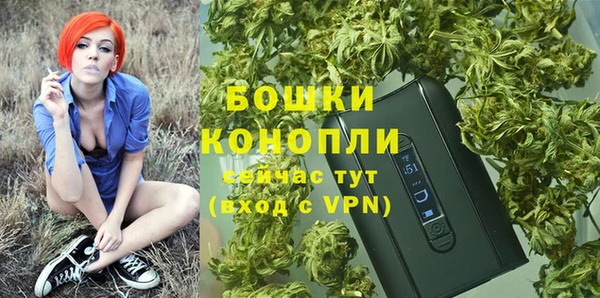 шишки Киреевск