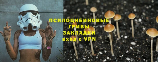 шишки Киреевск